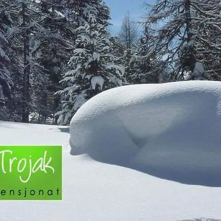 Trojak Гостевой дом 3*